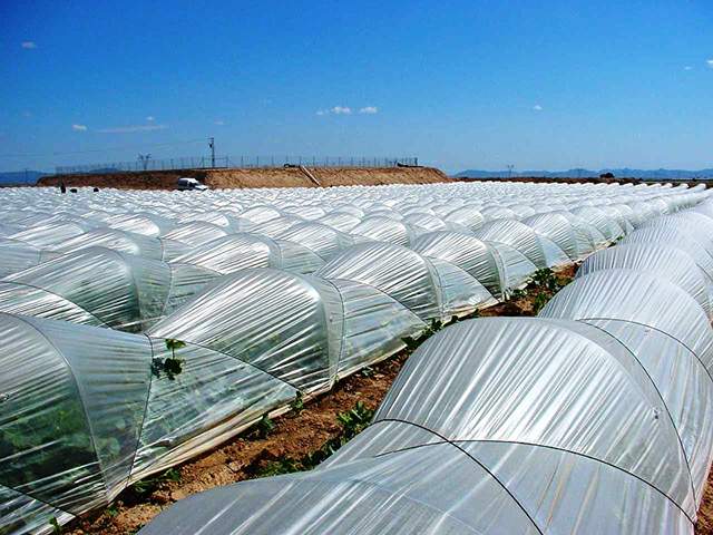 agrofolia üzletág kisalagút fólia termékkép 1