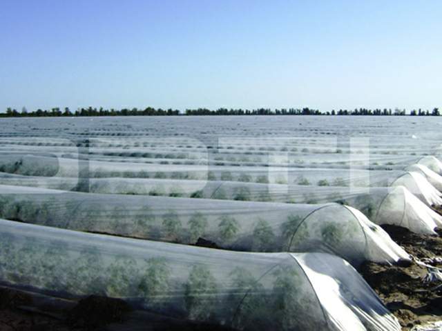 agrofolia üzletág kisalagút fólia termékkép 2