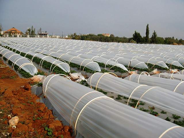 agrofolia üzletág kisalagút fólia termékkép 3